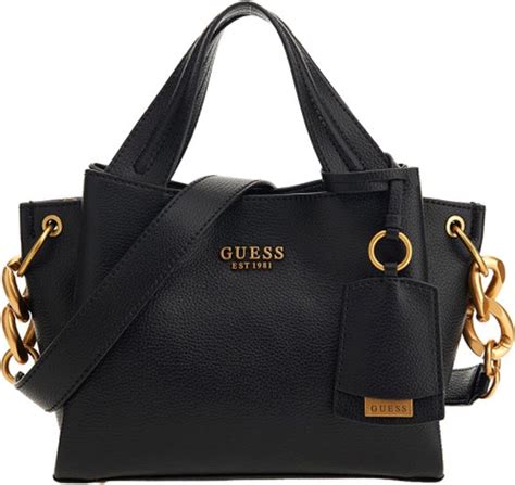 tas guess model